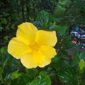 Meet your Posher, Debra